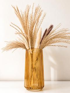 MIILOX Apartments Chemnitz Rosenhof - Chemnitz - 4