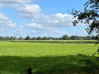 Houten huisjes voor Rust Ruimten en Natuur - 9