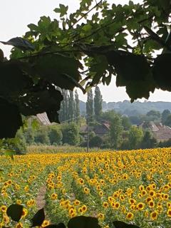 Le refuge - 7