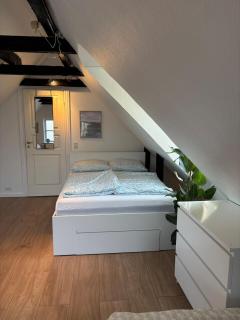 Cozy Oasis near Copenhagen - 2
