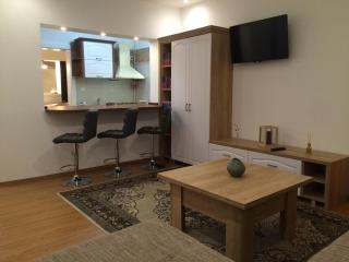 Tampa Hill Residence - Brasov - 9