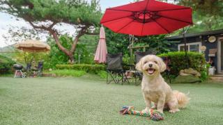 Pocheon Arumdri Pension - 0