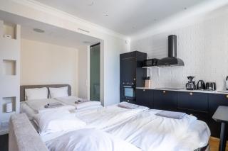Very Cental Scandic Studio Apartment with Balcony - 2