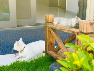 花漫里酒店 Blossom Lane Hotel Shanghai PVG Airport Free PVG Airport Free PVG Airport Shuttle Service Garden Terrace Free On-Site Parking Resident Cats On-Site - 7