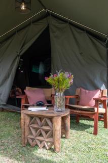 Honeyguide Explorer Camp - 3