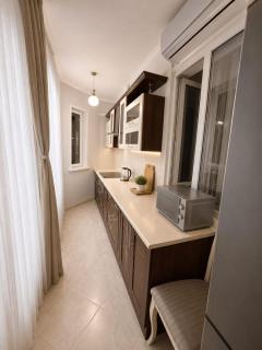 Vavilon - 2 bedroom apart - Mega center - 9