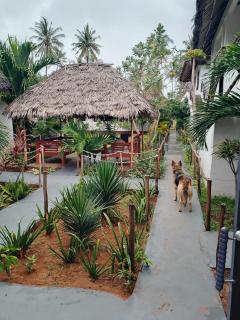 Al Mar Bed and Breakfast - 3