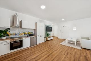 Ramoni Apartments - Alpirsbach - 1