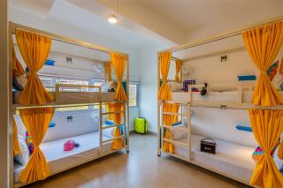 goSTOPS PLUS Goa Candolim - 5