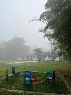 Misty field view Homestay - 1