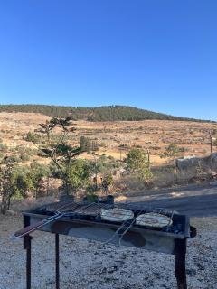 dayroz farm - 6
