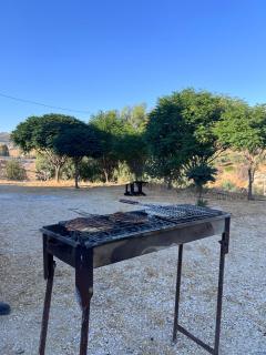 dayroz farm - 5