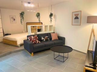 Modern & Spacious Studio in Lausanne! RN18-5 - 3
