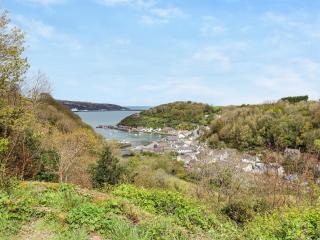 Blue Top - Fishguard - 1