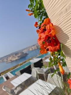 Ursulino Valletta - 4