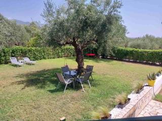 Olive Harmony House - 1