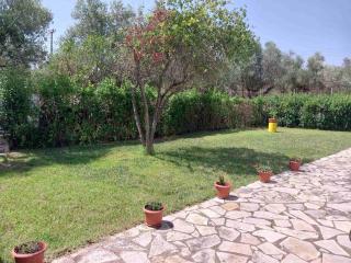 Olive Harmony House - 4