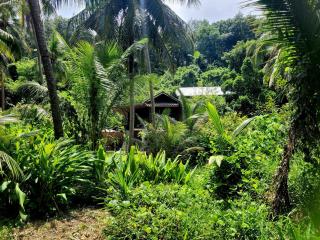 LowKey Villa - Quiet Jungle Beach Escape - 4