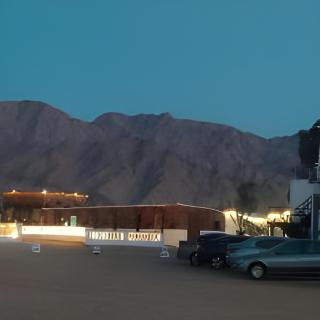 elwaharesort - 5