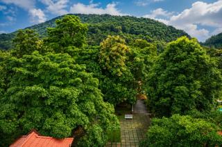 Athirappilly Rainland Resort - 5