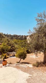 Casa Bellina ,Potamos Private Garden & Free Parking - 6