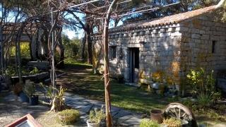 Agriturismo La Vigna - Tempio Pausania - 0