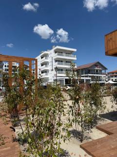 Hotel CASABLANCA MAMAIA NORD - 8