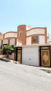 الديم - 3
