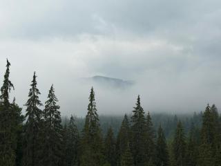 UnderДіл - 6