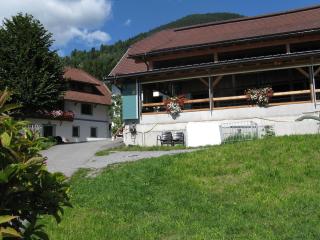 Ortnerhof - Millstatt - 1