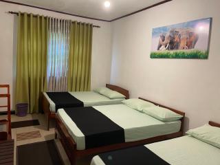 Olivia HomeStay - 4