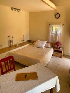 Cozy studio in Ohey 15 m² with garden - 9