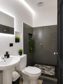 Anluka House tapir - 4