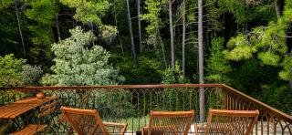 Pinecone Luxury Glamping - 3