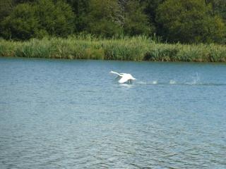 le clos du pont noyalo - 6