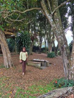Villa Shyra House - 8