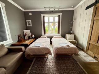 The viking dream - Stavanger - 1