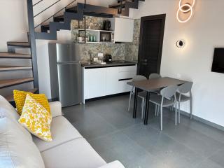 IV Lofts - 9