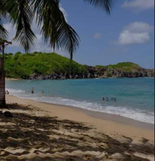 Bungalow Tartane Anse l'Étang - 4