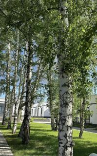 Атлантис - 3