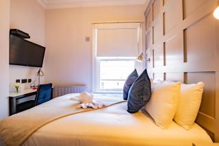 Contemporary Suite, Comfort-Relax and Unwind - 4