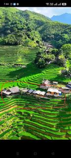 Black Hmong Sapa Homestay Family - 8