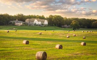 Pursell Farms - 1