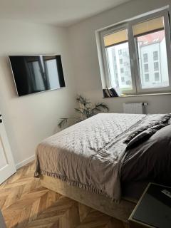Apartament MK Sady - 2