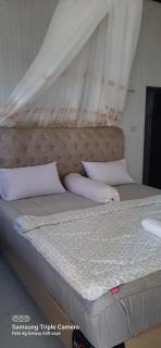 Nangin View HOTEL Orang utan tour & trekking - 6