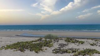 Casa Rubi - 5 Bedroom Home on the Beach - 1