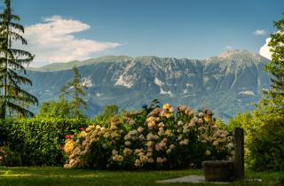Panoramic Forest Chalet Bled Lake and Castle View - 9