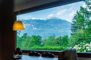 Panoramic Forest Chalet Bled Lake and Castle View - 8