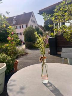 Adler Stetten ob Lontal - 1