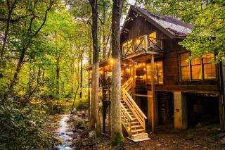 Newly Renovated Log Cabin, Hot Tub, Roaring Creek - 0